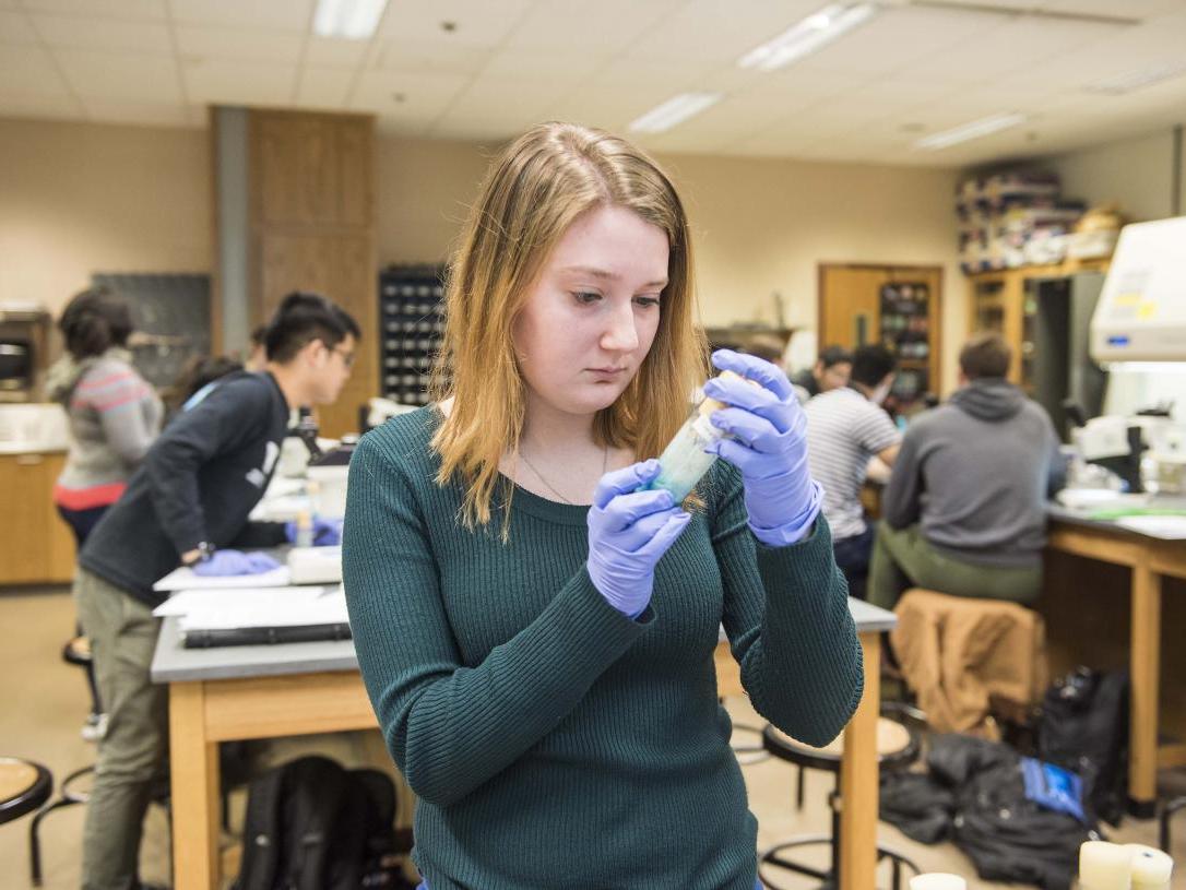 Biology student examining a specimen in a lab setting.